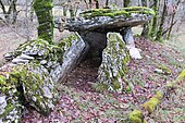 Dolmens des Aumières