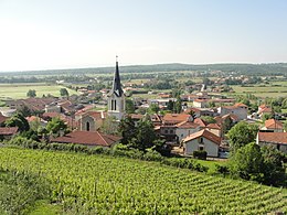 Saint-Romain-le-Puy – Veduta