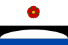 Flag of Brod nad Tichou