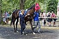 Mit Jockey James Doyle im Führring