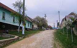 Road in Iabalcea village