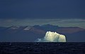 格陵兰海的浮冰