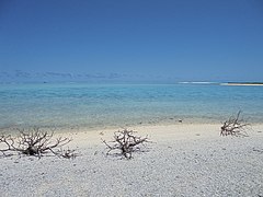 Flora, Fauna and landscapes from The Thirteen Islands of St. Brandon