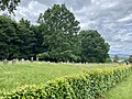 Jewish graveyard