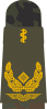 Generalarzt (human medicine)