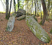 Allée couverte du Bignon