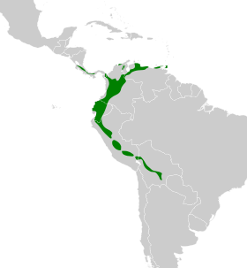 Distribución geográfica del orejero coronigrís (incluyendo L. albidiventer).