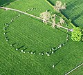 Long Meg and Her Daughters