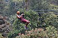 Deportes de aventura "canopy".