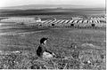 Israeli army camp at Khirbet al-Mansura. 1948