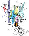 A diagram of the space station Mir.