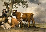 パウルス・ポッテル『若い牡牛』 1647年