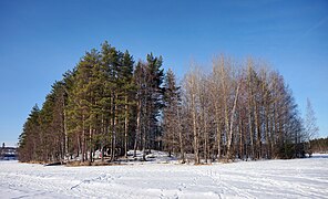 Pikku Haapasaari.