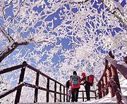 Hiking path covered in snow (2005)