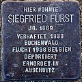 Stolperstein für Siegfried Fürst (Am Eulengrund 3)