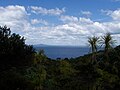 Aussicht von Tiritiri Matangi Island auf Rangitoto Island (links) und Auckland (rechts)