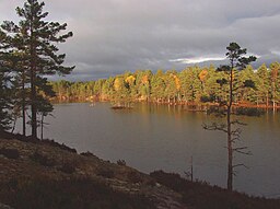 Nordvästra delen av Stora Tresticklan (oktober 2004).