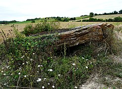 Vu du nord (août 2008).