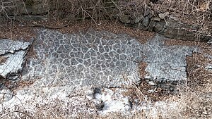 반야월층에 드러난 고산골 화석지 건열 구조