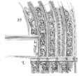 Dessin d'Eugène Viollet-le-Duc (1856)