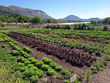 Finca de agricultura ecológica en Bustarviejo (España)