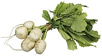 A bundle of Tokyo turnips