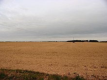 Photographie en couleurs de champs labourés jusqu'à l'horizon barré par un bois.