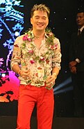Đàm Vĩnh Hưng (2012–15)