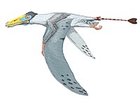 Dorygnathus