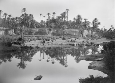 Unidentified oasis in Africa, photographed c. 1930