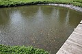 Fish pond