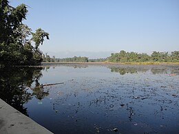 Distretto di Kailali – Veduta