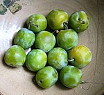 青李（英语：Greengage） Greengage