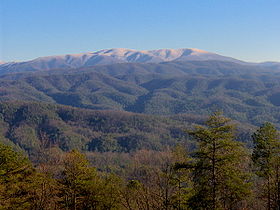 Vue de Gregory Bald depuis Chilhowee Mountain au nord.