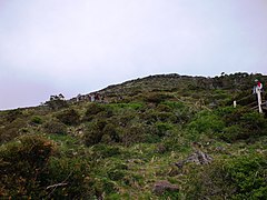 城坂岳登山路の山頂付近(2008年6月)