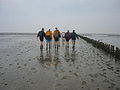 Wadlopen