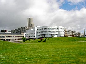 Ninewells