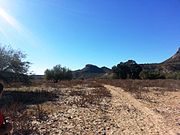 Hiking trail leading to the Indian Mesa (in the background). The hiking trail is located on a portion of a canal which the Hohokam built in 700 AD.. The canal is now filled with soil.[13]