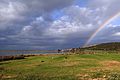 Rainbow in the park