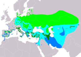 A függőcinege elterjedési területe   költőhely (nyáron)   egész éves   költözési útvonal   telelőhely