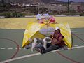 Resting during recreational kiting.