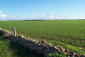 Wattle Point wind farm near Edithburgh, South Australia.