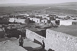 זירעין, 1949