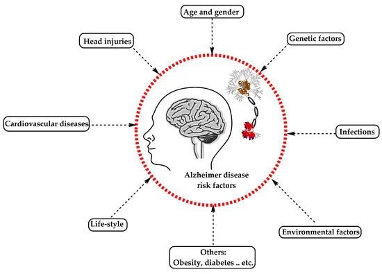 File:AlzheimersRisk.webp