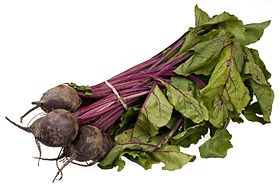 Beta vulgaris