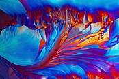 Cristal d'un acide aminé, la bêta-Alanine, photographié avec un microscope polarisant, au grossissement fois 10. (définition réelle 5 170 × 3 448)