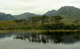 View into Glencaghan and summits of (r-to-l) Derryclare, Bencorr, and Bencollaghduff