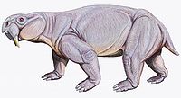 Dinodontosaurus