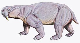 Реконструкция Dinodontosaurus sp.