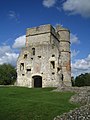 Image 8Donnington Castle in Berkshire (from Portal:Berkshire/Selected pictures)